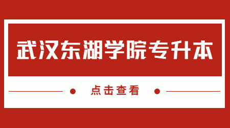 武汉东湖学院专升本.jpg