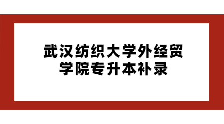 2022年武汉纺织大学外经贸学院专升本补录工作公告