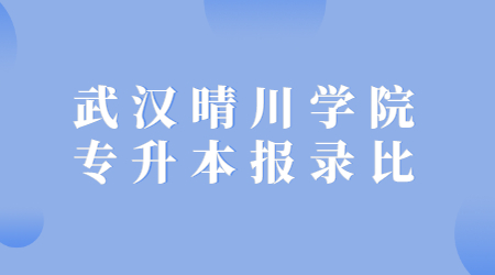 武汉晴川学院专升本报录比是多少？