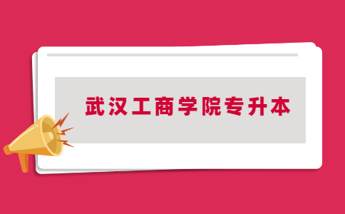2023年武汉工商学院专升本资格审核材料