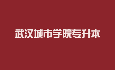 2023年武汉城市学院专升本环境设计专业考试大纲