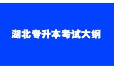 2023年湖北汽车工业学院科技学院专升本考试大纲
