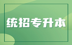 **恩施专升本成功的关键因素：学习方法、技巧与经验分享**