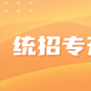 勇攀高峰：湖北统招专升本成功的案例与经验分享